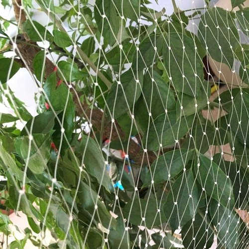 Protection Netting To Keep Birds Out In Your Garden – Mbira Sanctuary